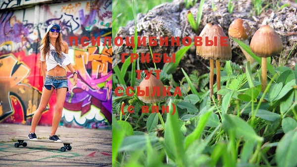 MESCALINE Богданович