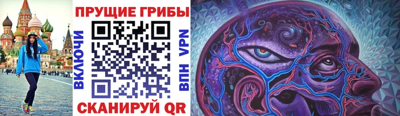 Купить где  Михайлов  Псилоцибиновые грибы Cubensis 